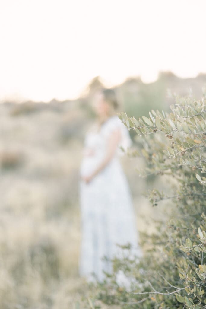 arizona desert maternity photos