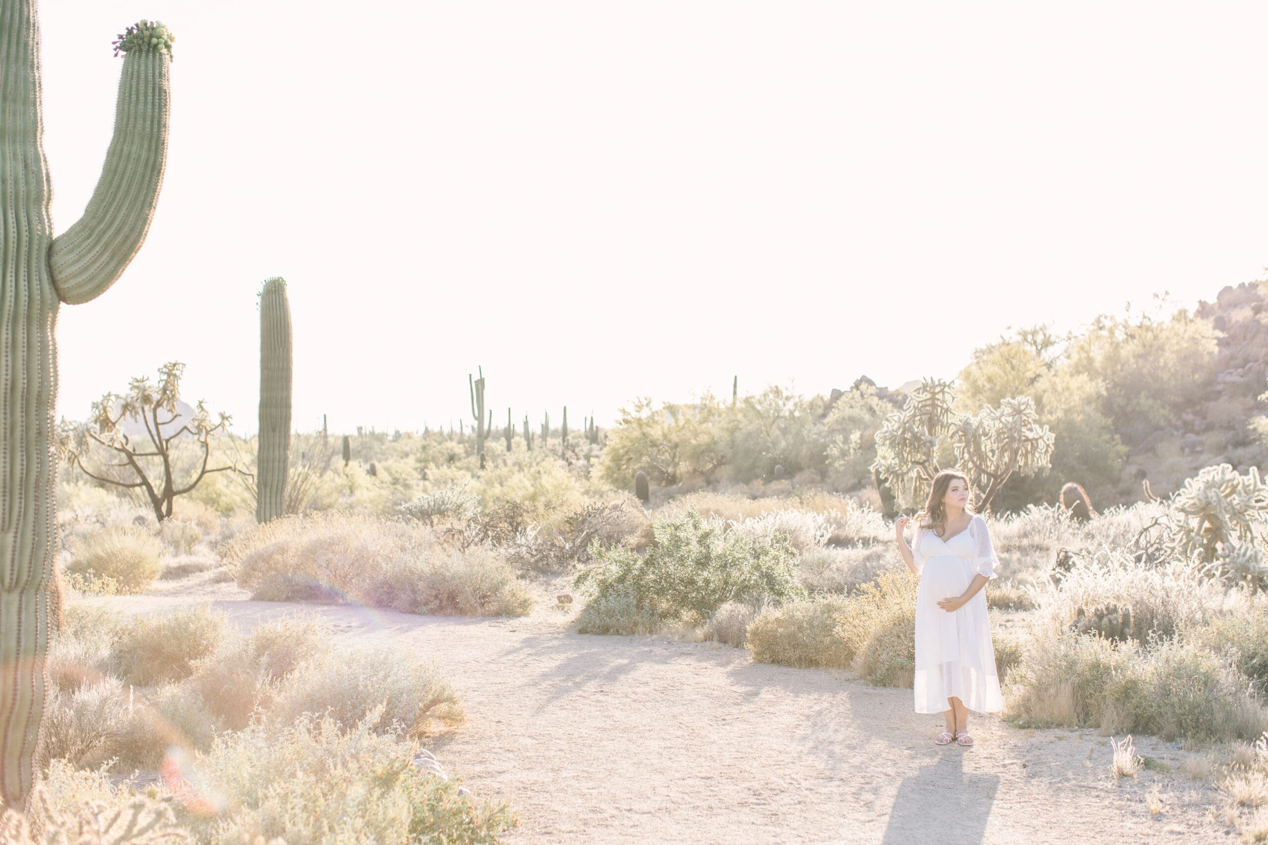 Mesa Arizona Maternity Photos