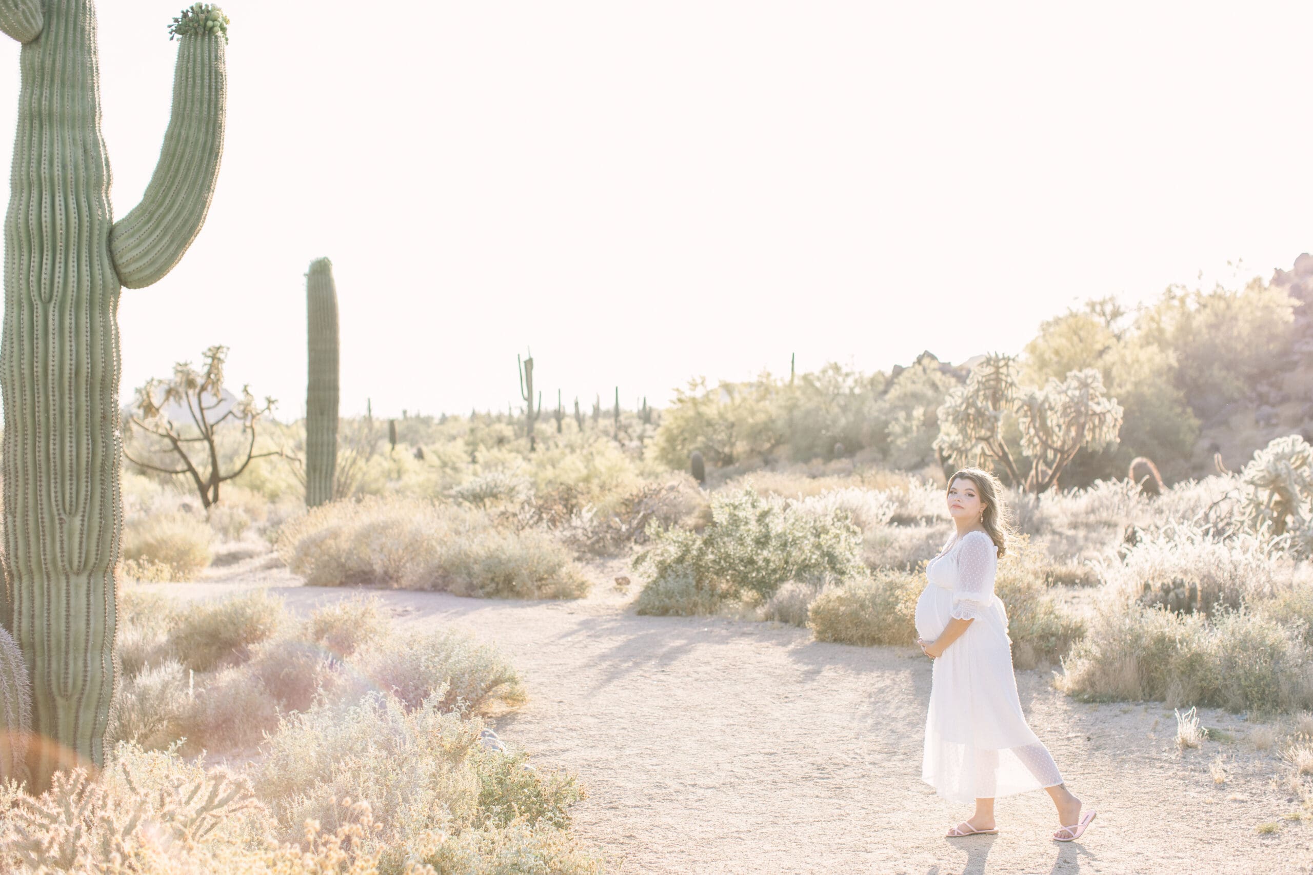 Mesa Arizona Maternity Photos