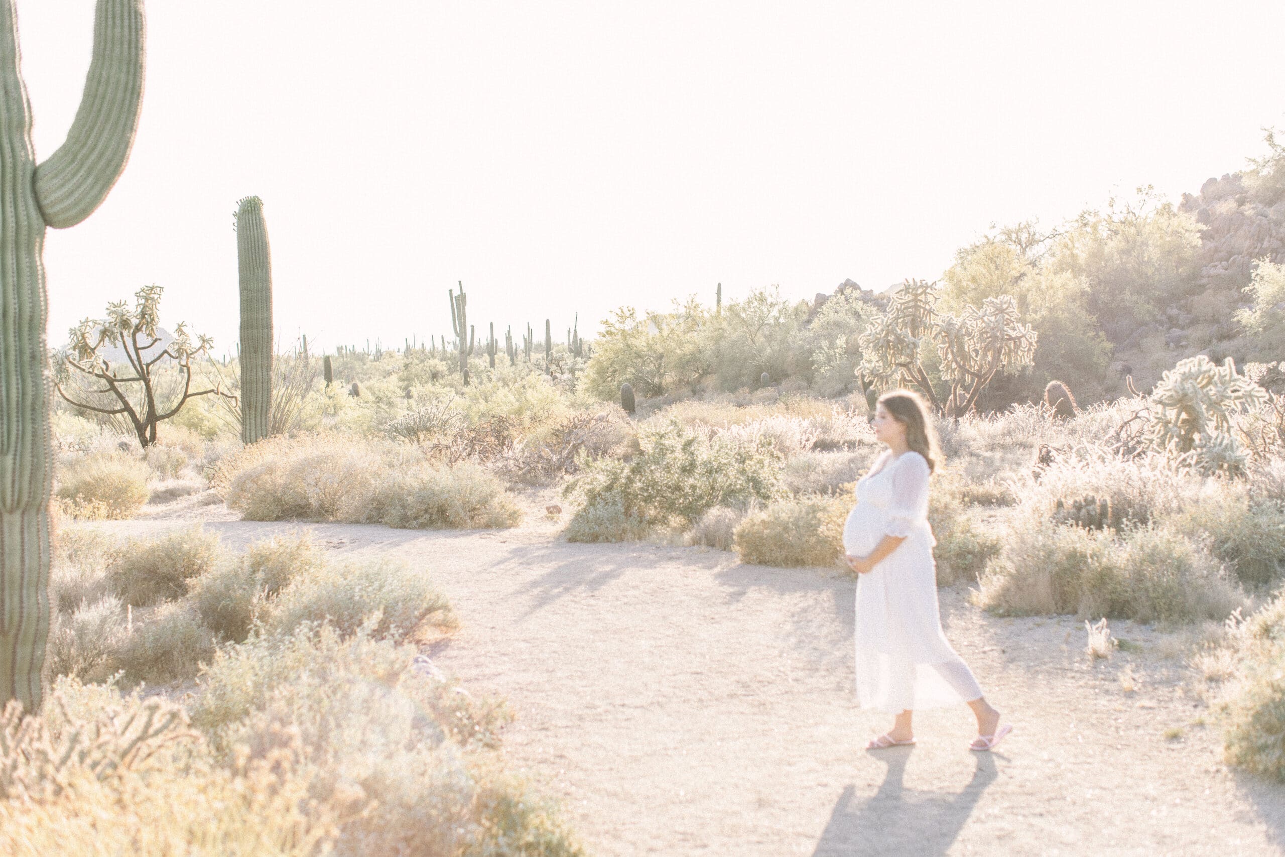 Mesa Arizona Maternity Photos