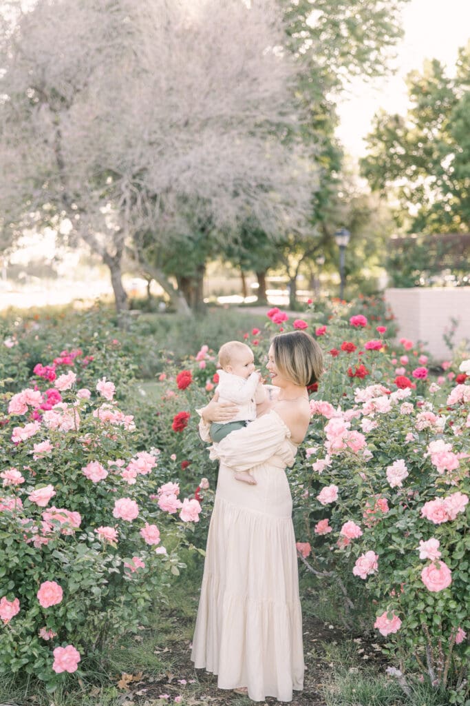 Arizona rose garden photos