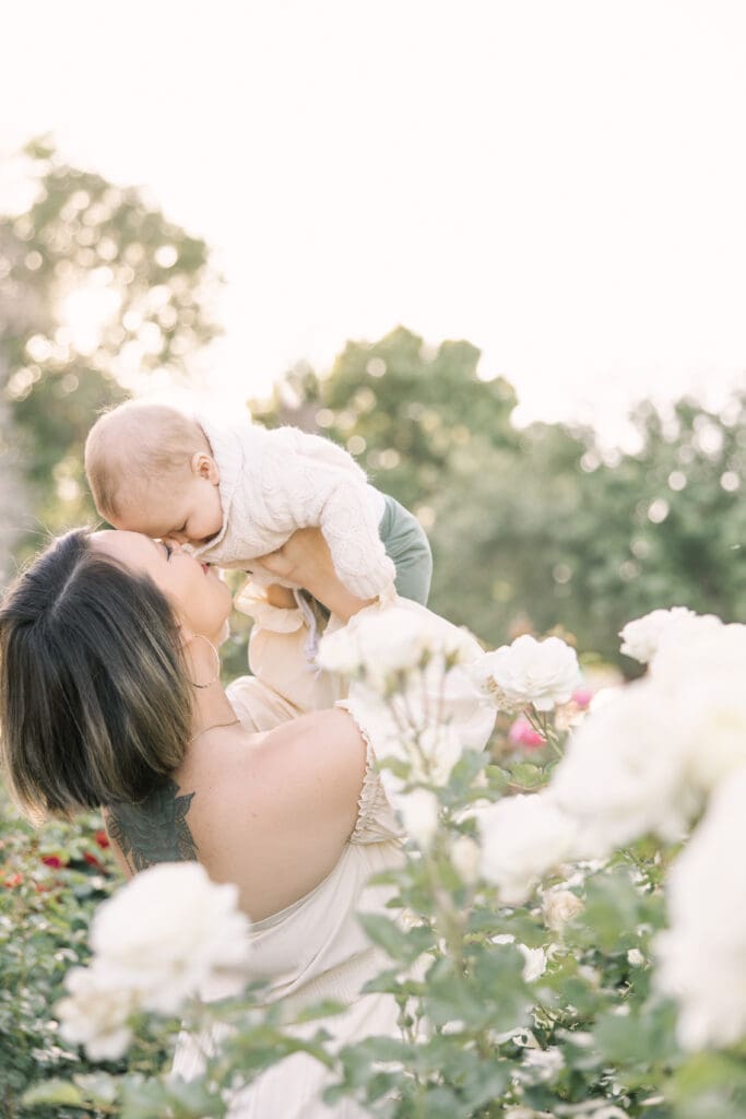 Arizona rose garden photos