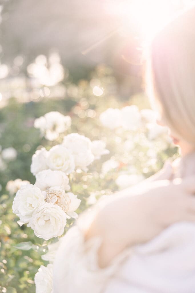 Arizona rose garden photos