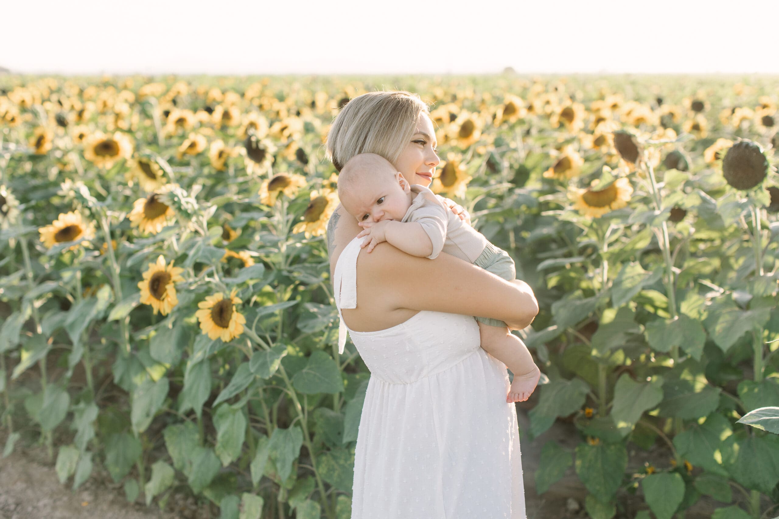 Sunflower motherhood photos