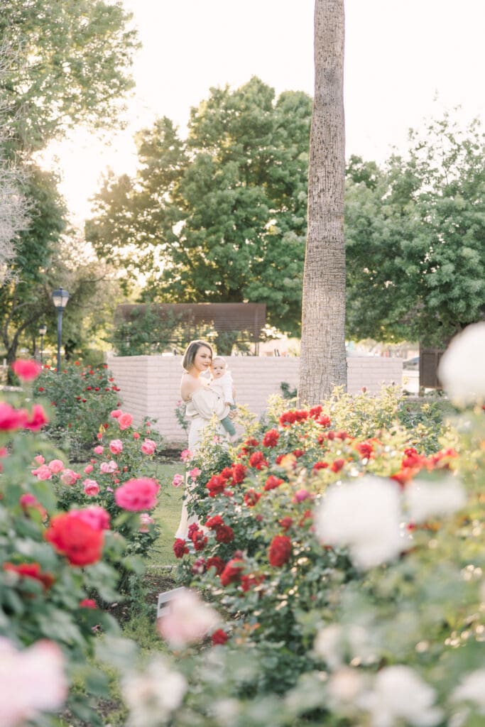 Arizona rose garden photos