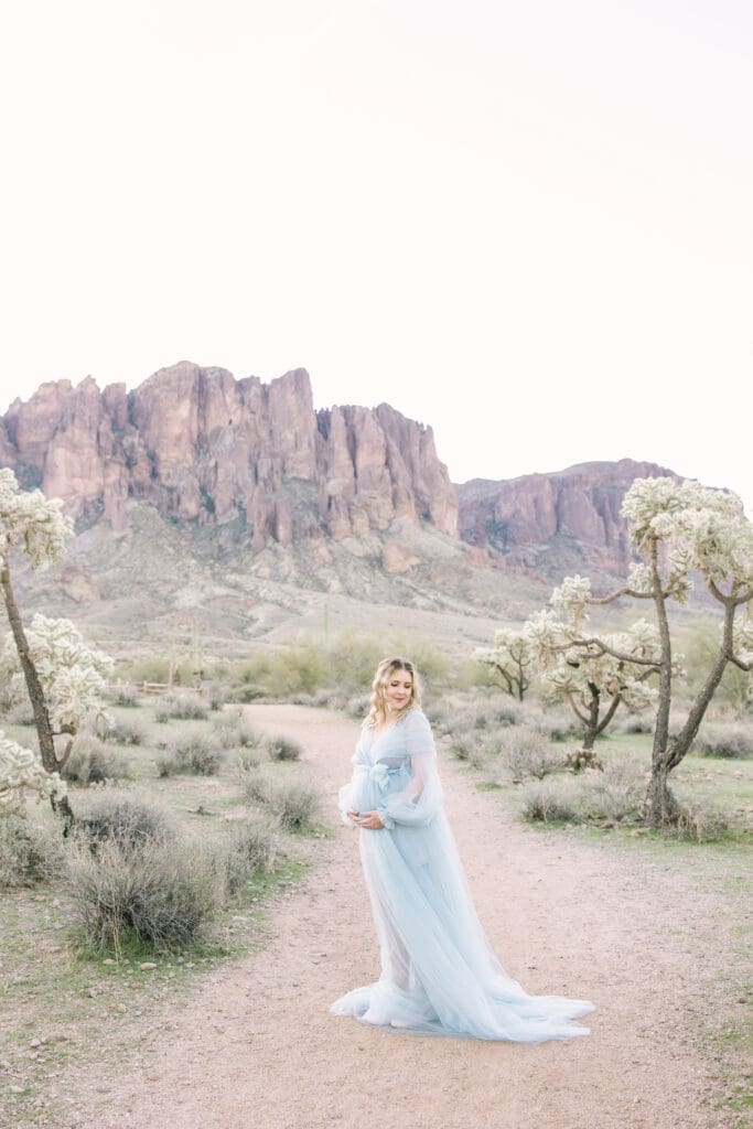 Arizona Desert Maternity Photos