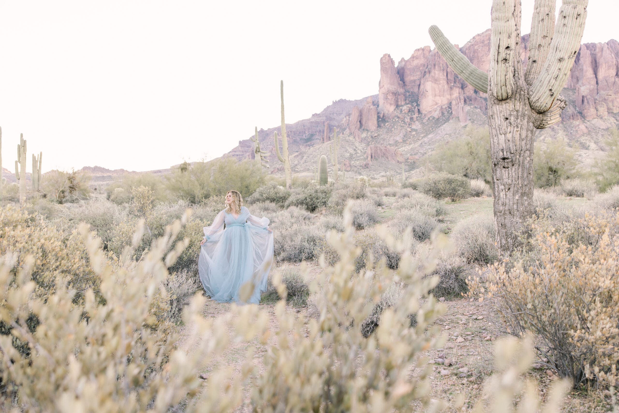 Arizona desert maternity session