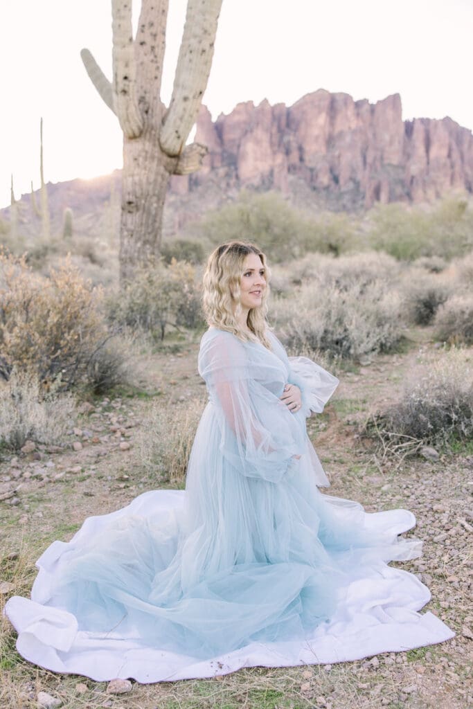 Arizona Desert Maternity Photos