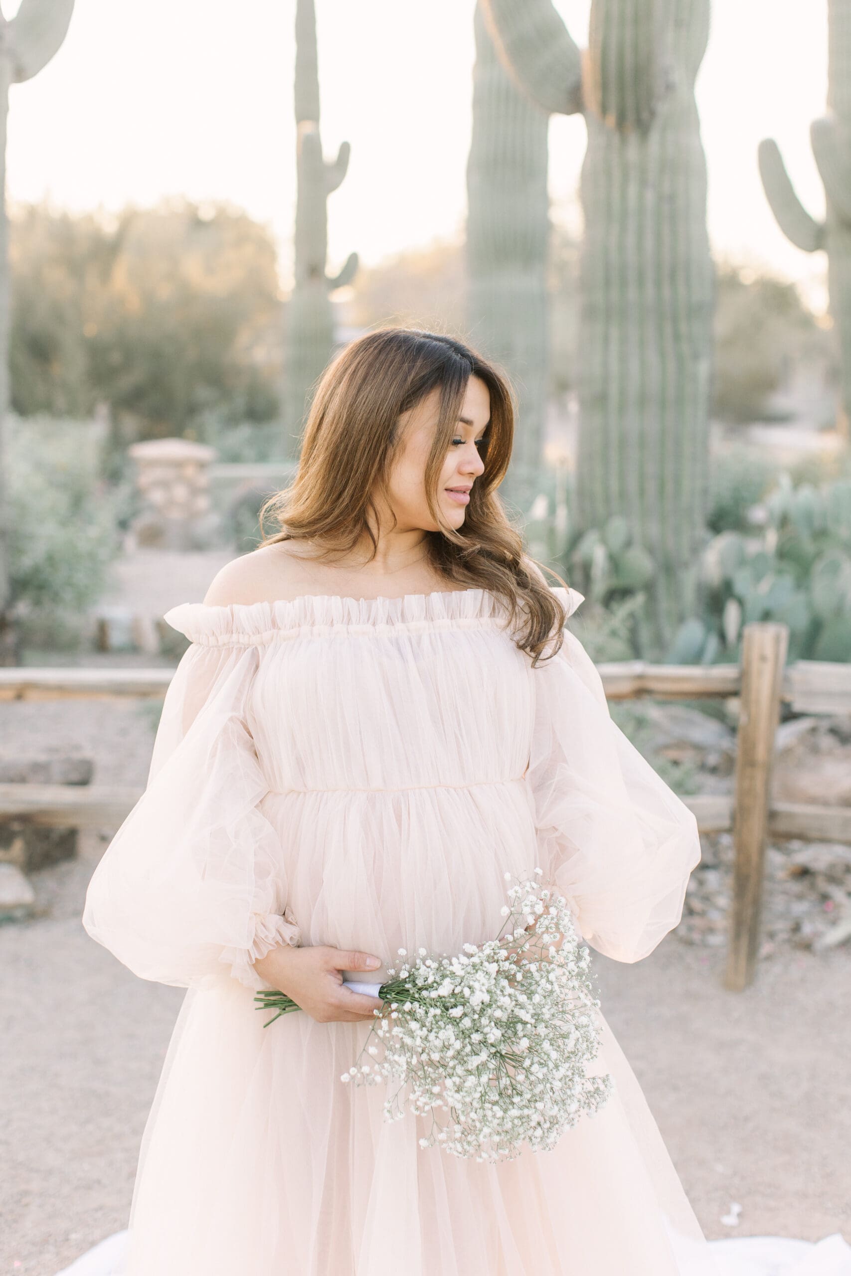 Arizona Maternity Photos